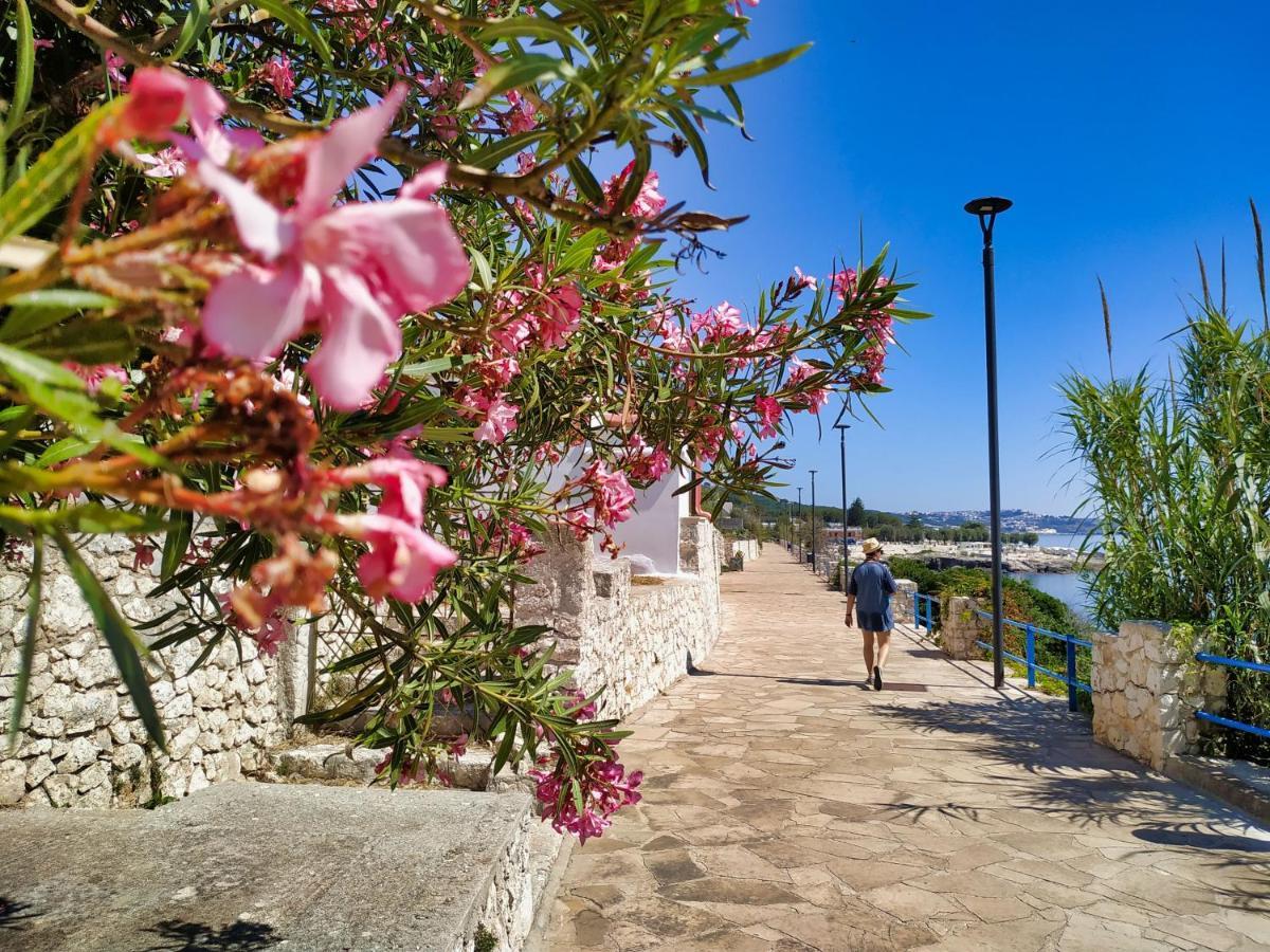 Marina Di Andrano - Alisso, Casa Vista Mare Con Parcheggio Privato E Wifi Villa Exterior photo